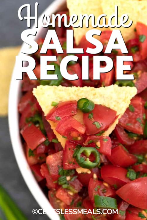 Fresh Salsa on a tortilla chip with a title.
