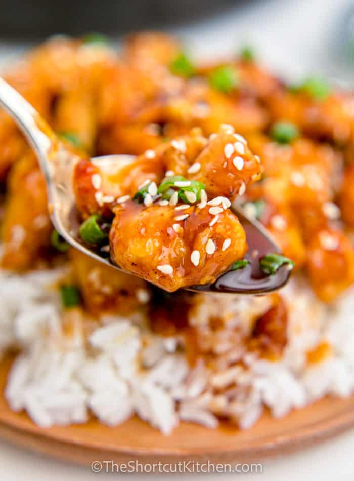 spoonful of Sweet & Sour Chicken