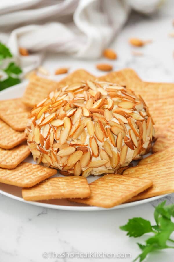 Parmesan Ranch Cheese Ball (Easy Appetizer!) The Shortcut Kitchen