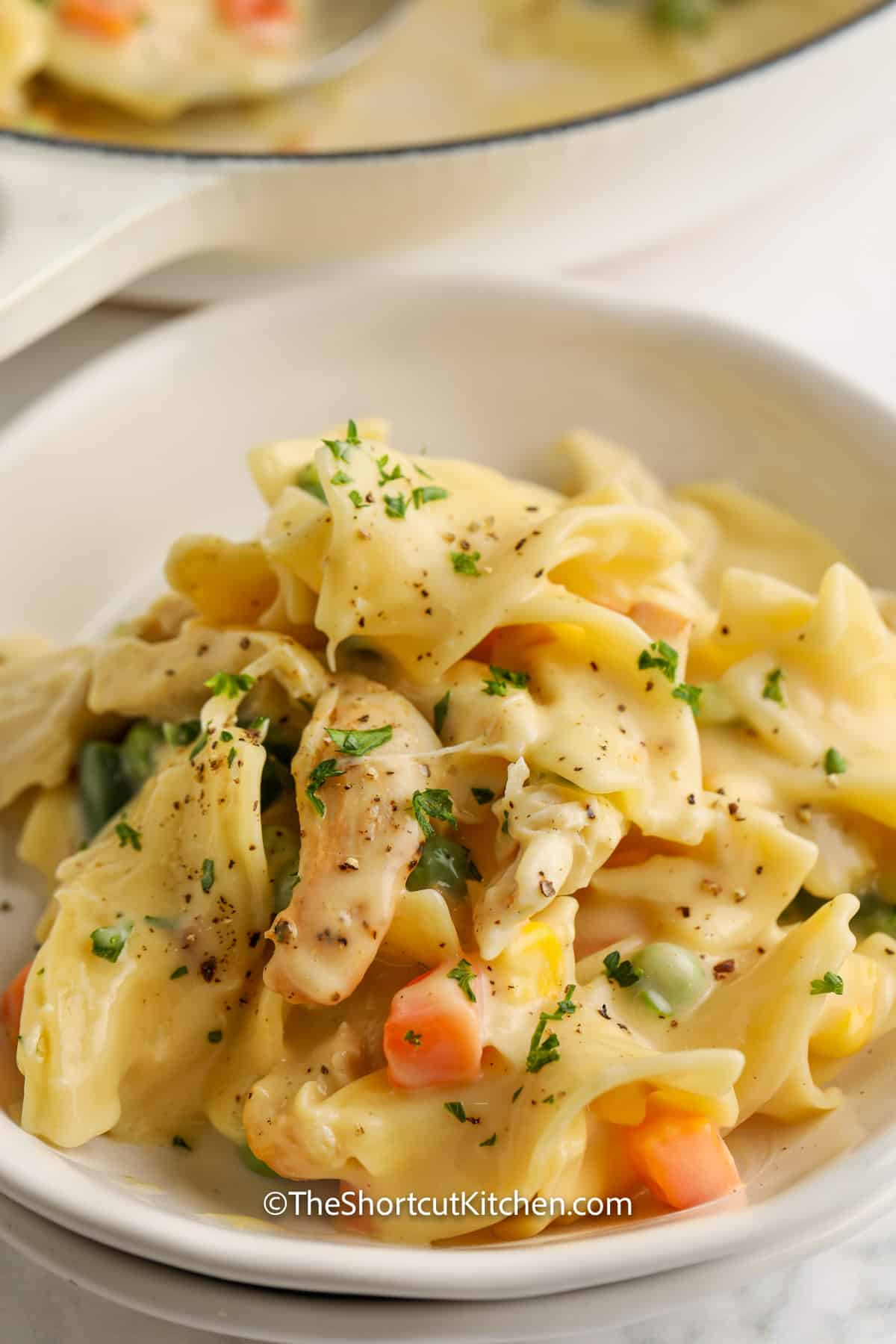 Chicken and Egg Noodles in a white bowl