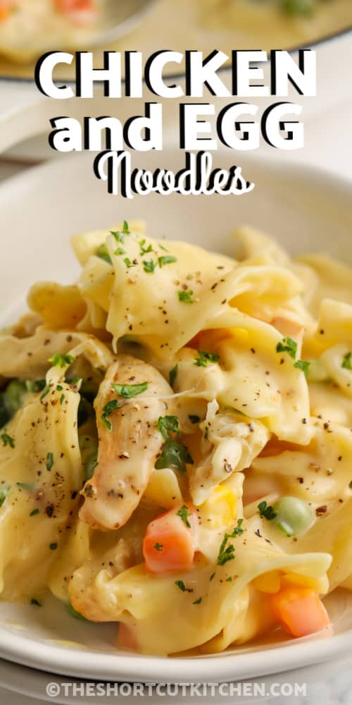 Chicken And Egg Noodles Recipe Chronicle