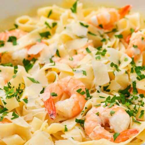 Easy Shrimp Alfredo (Simple 30 Minute Recipe!) - The Shortcut Kitchen