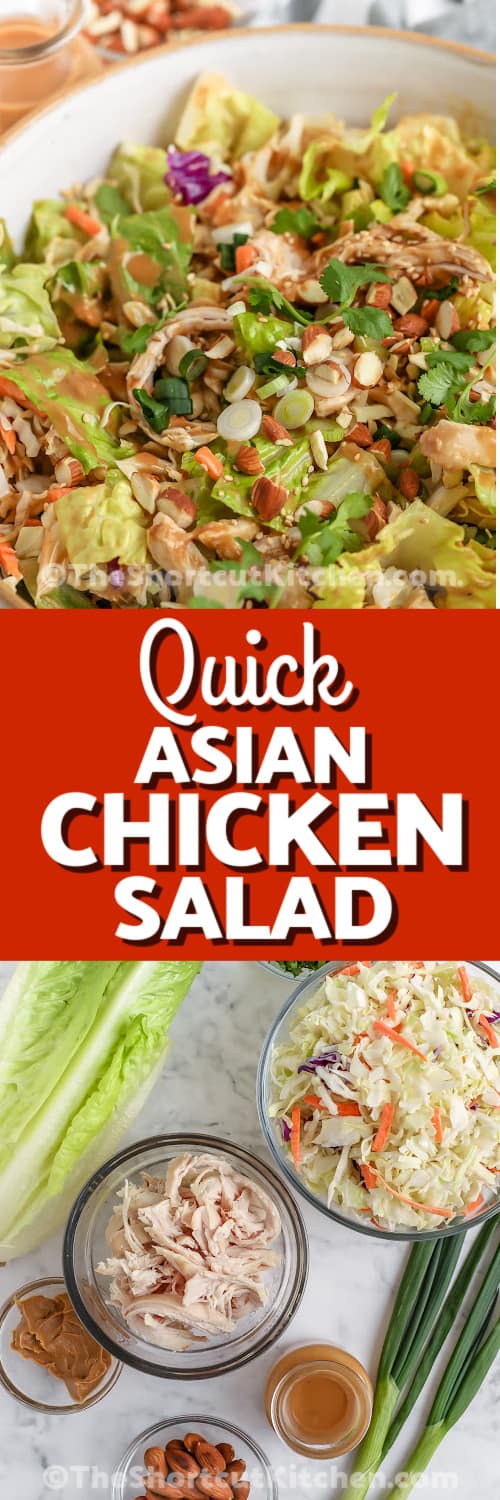asian chicken salad and ingredients with text