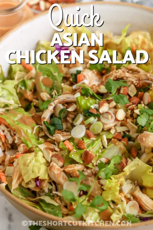 asian chicken salad with text