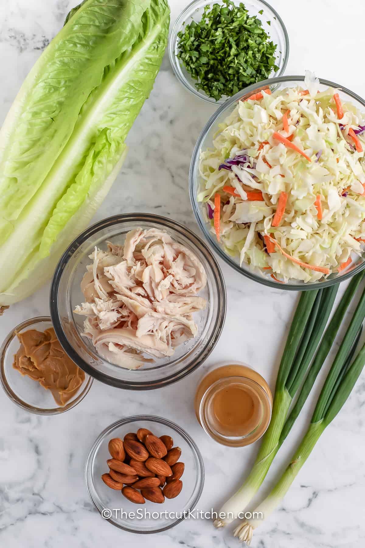 ingredients assembled to make this asian chicken salad recipe