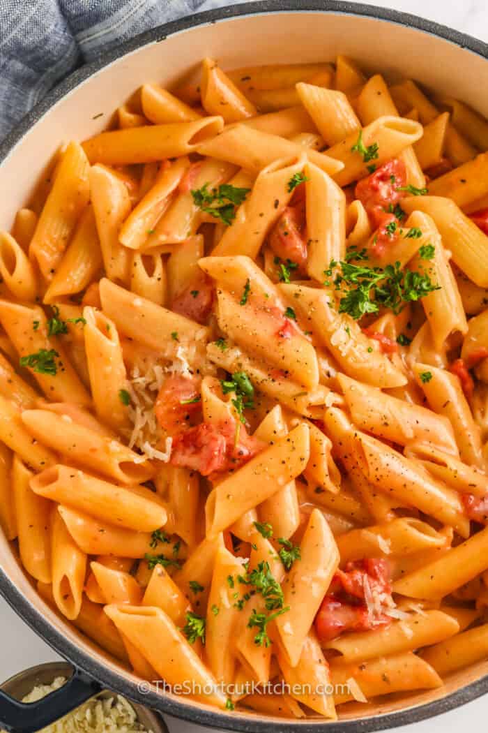 One Pot Creamy Tomato Pasta (30 Min!) - The Shortcut Kitchen