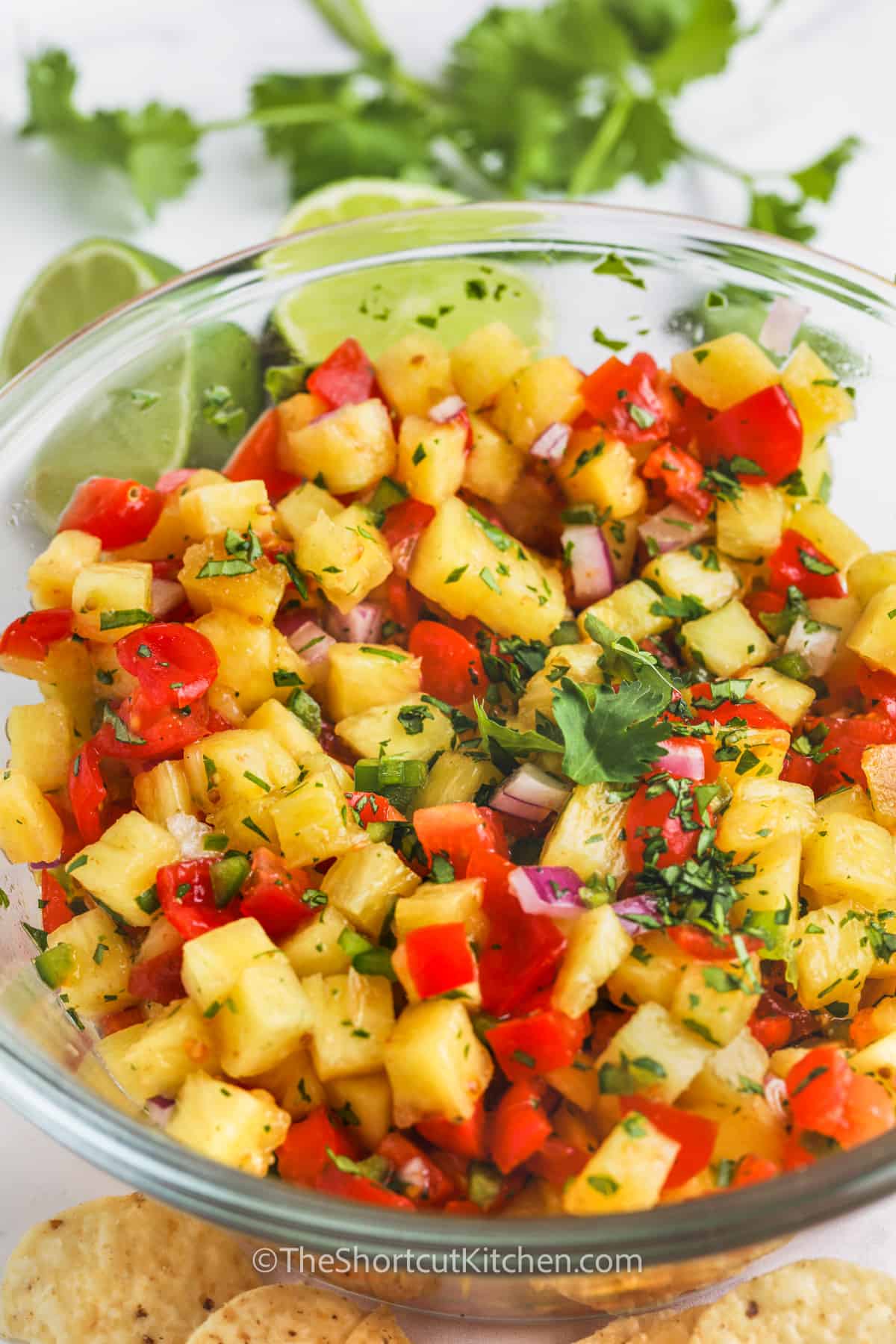 close up of Pineapple Salsa