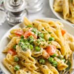 close up of Boursin Cheese Pasta on a plate with a fork