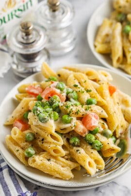 close up of Boursin Cheese Pasta on a plate with a fork