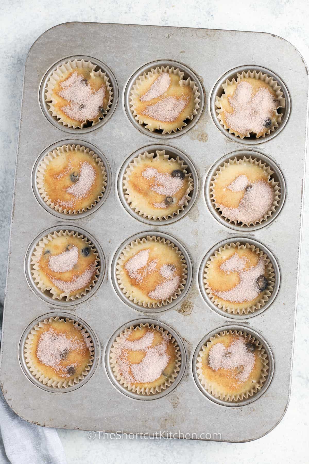 Easy Blueberry Muffins in the muffin tin