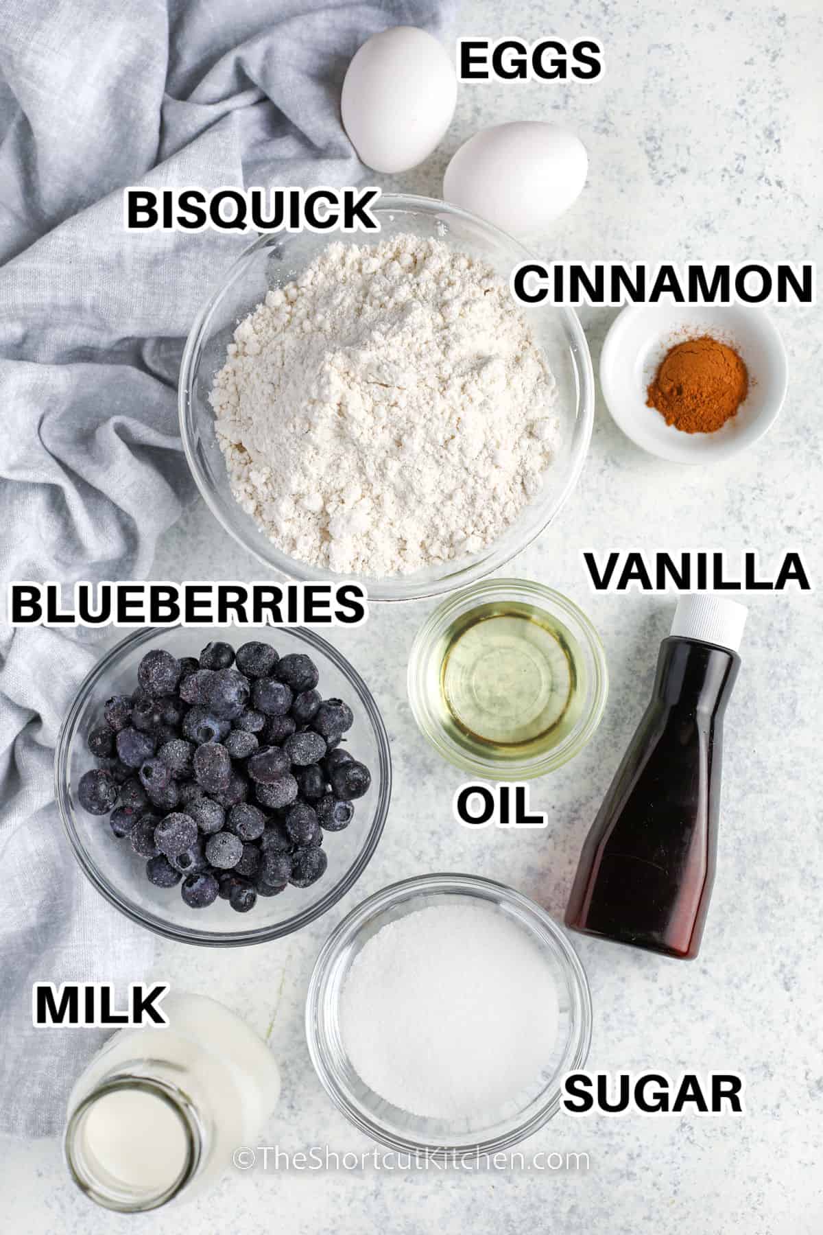 eggs , bisquick mix , cinnamon , vanilla , oil , sugar , blueberries and milk with labels to make Easy Blueberry Muffins