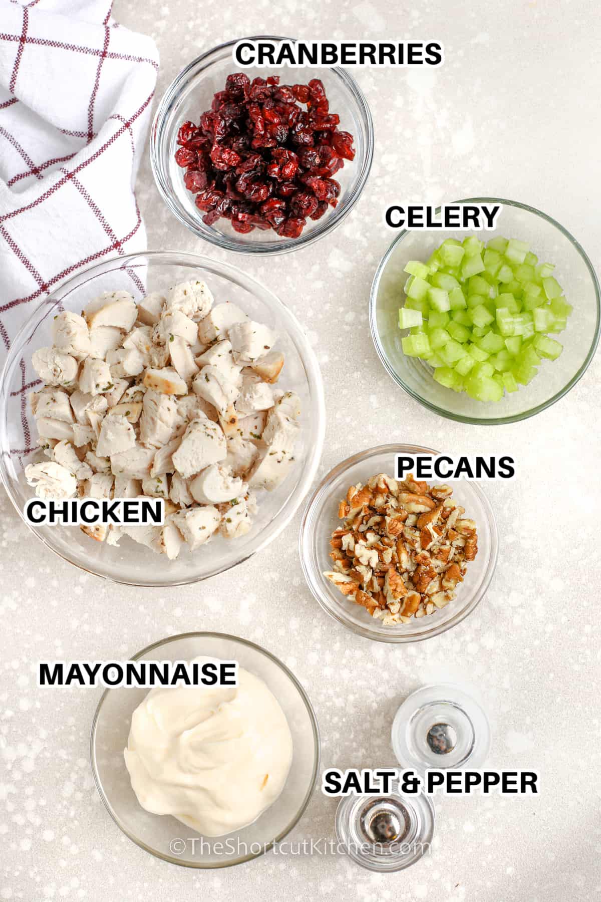 labeled ingredients to make cranberry chicken salad