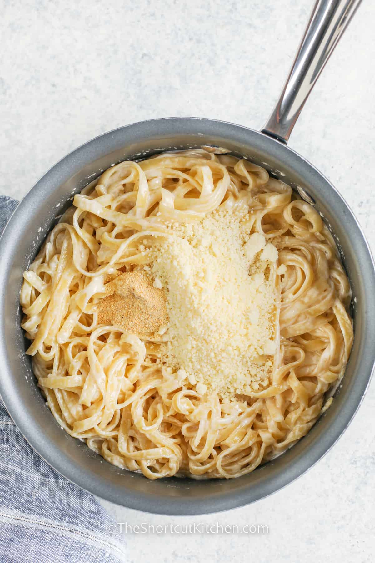 fettuccine noodles in sauce topped with parmesan cheese