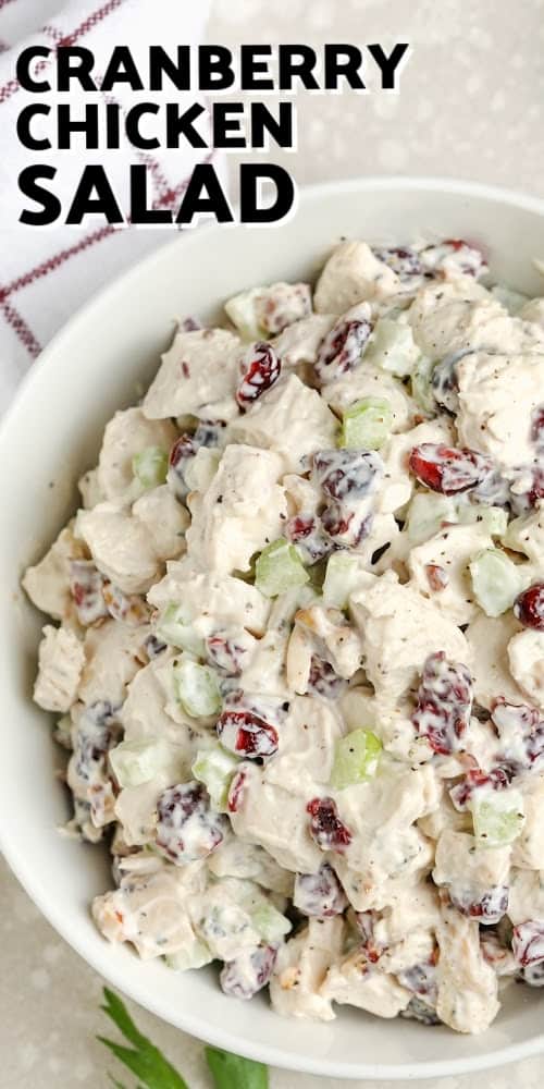 cranberry chicken salad with text