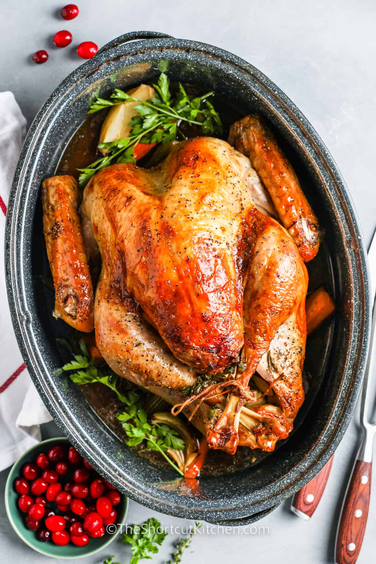 Roast Turkey in a roasting pan with fresh herbs