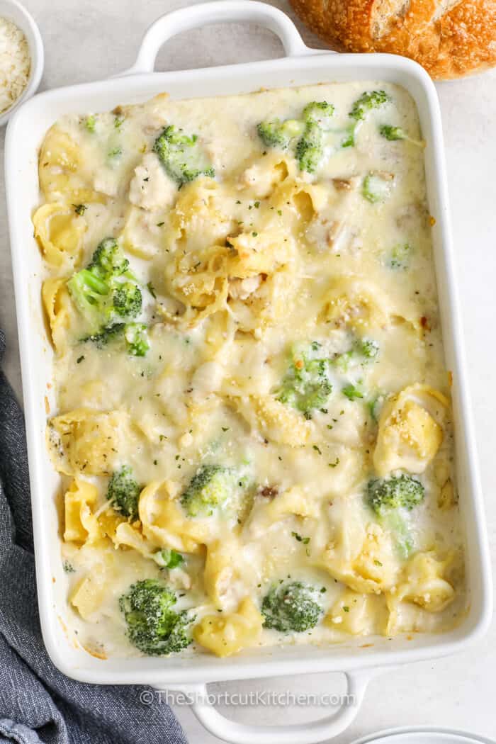 Chicken Tortellini Alfredo {Easy Casserole!} - The Shortcut Kitchen