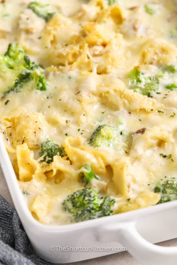 Chicken Tortellini Alfredo {Easy Casserole!} - The Shortcut Kitchen