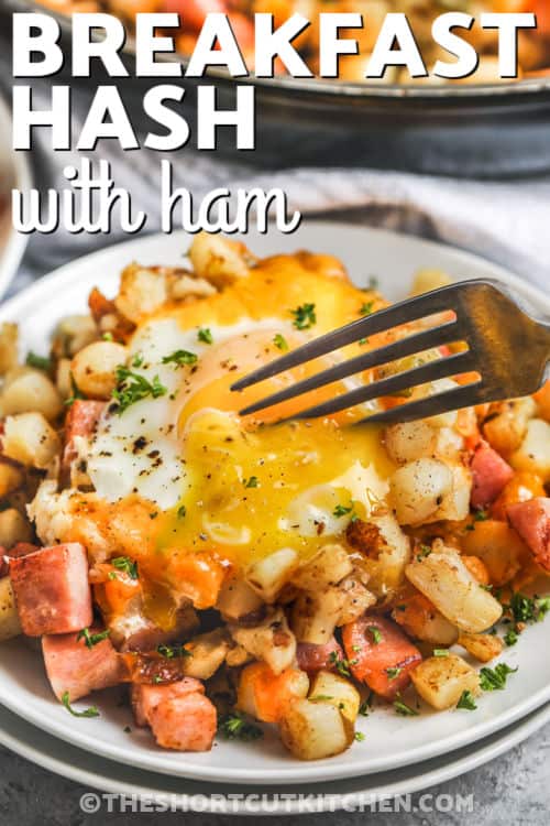plated Breakfast Hash With Ham with a title