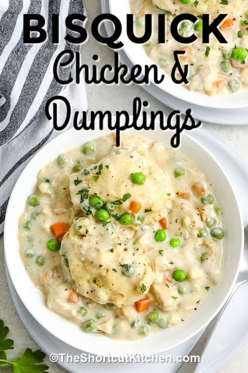 a bowl of bisquick chicken and dumplings with a title