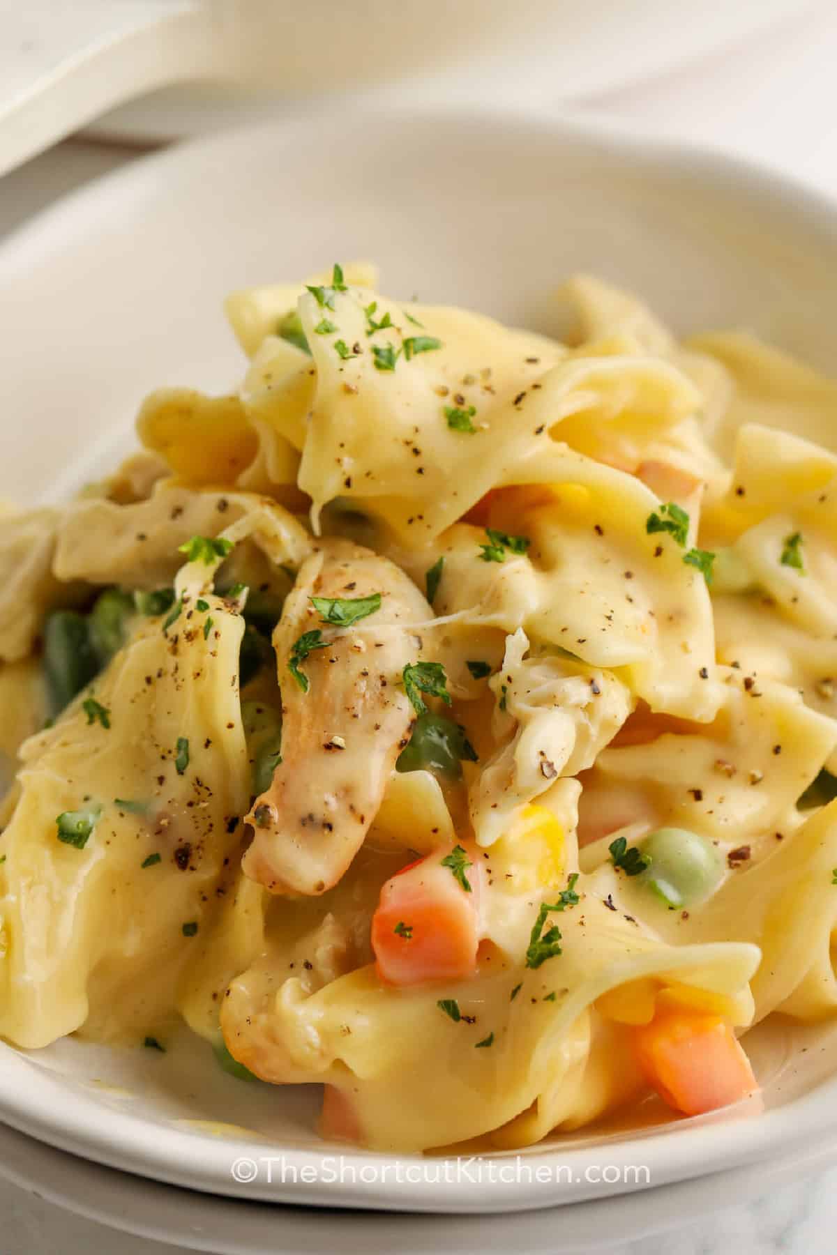 Chicken and Egg Noodles in a white bowl