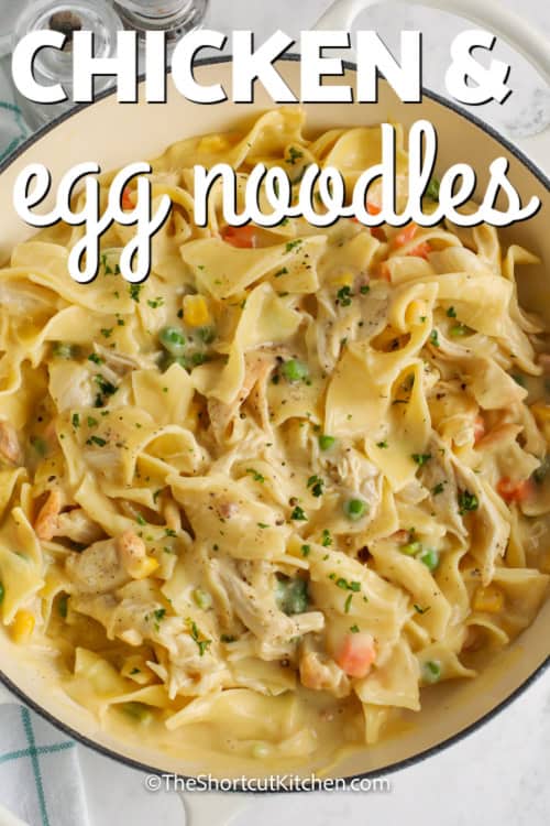 Chicken and Egg Noodles in a pot with a title