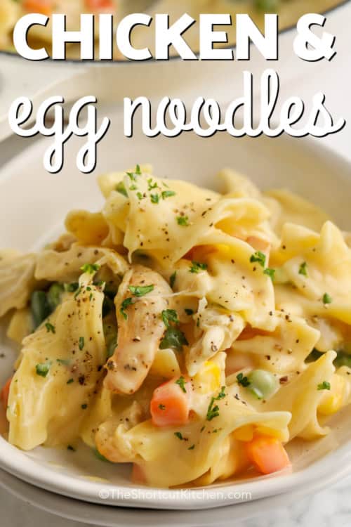 Chicken and Egg Noodles in a bowl with text