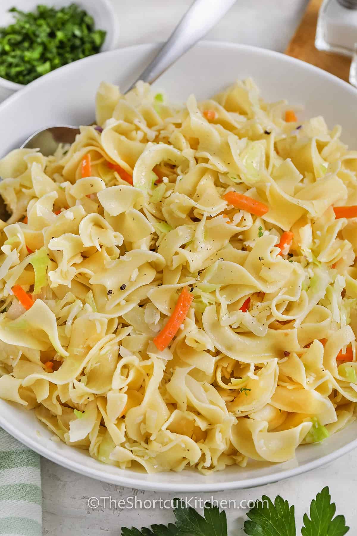 plated Cabbage and Noodles with a spoon