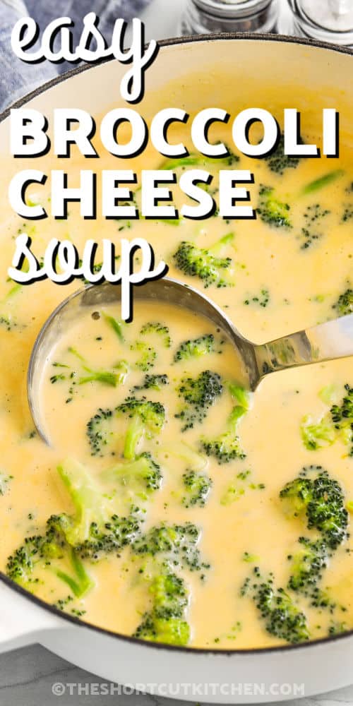 pot of cozy Easy Broccoli Cheese Soup with writing