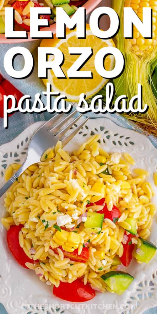 Orzo Pasta Salad Recipe with cucumber and tomatoes and a title