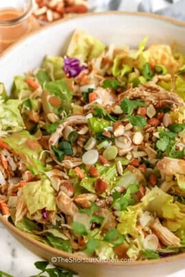 plated dish of Quick Asian Chicken Salad