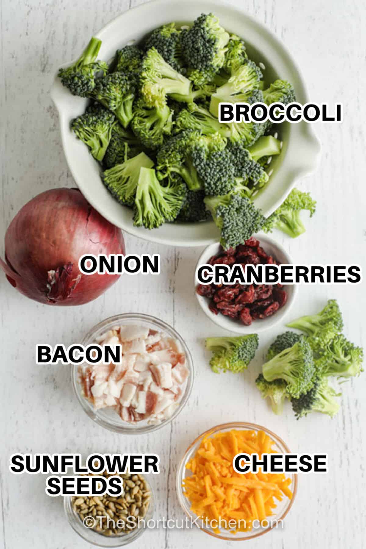 broccoli, onion , cranberries , bacon , sunflower seeds , cheese with labels to make Easy Broccoli Salad