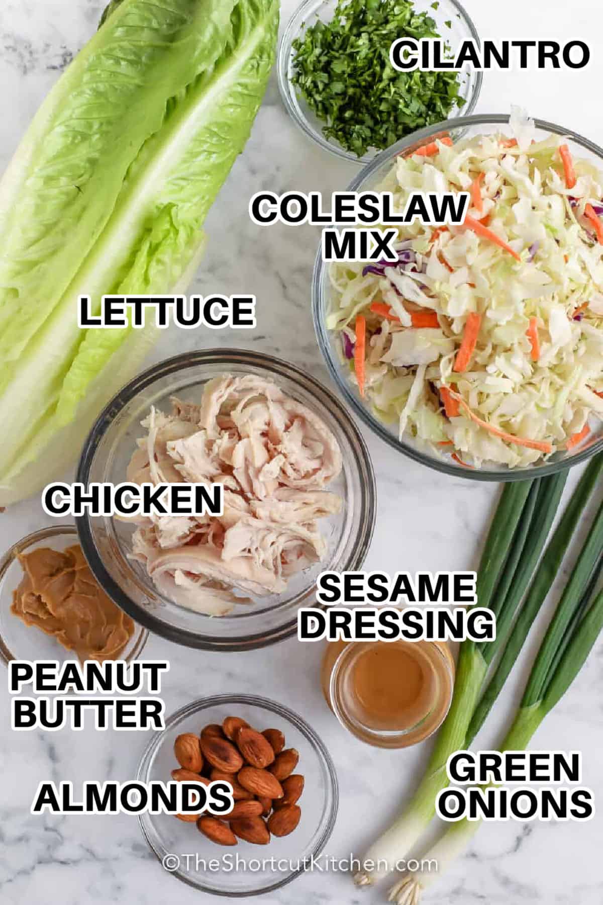 cilantro , coleslaw mix , lettuce , chicken , peanut butter , almonds , sesame dressing , green onions with labels to make Quick Asian Chicken Salad