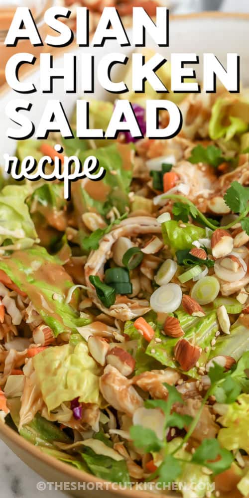 Quick Asian Chicken Salad with peanut sesame sauce and a title
