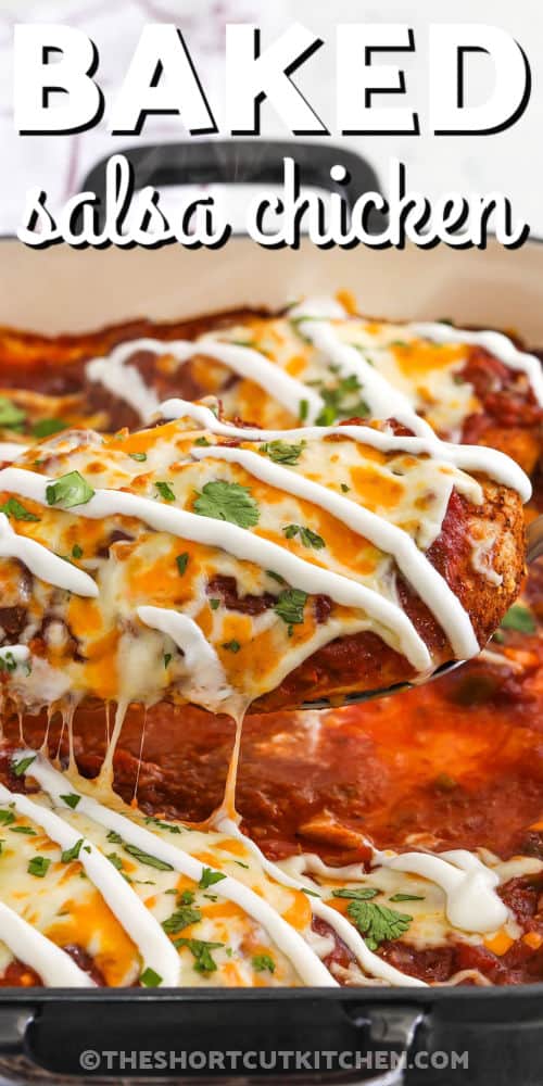 close up of a piece of Baked Salsa Chicken with a title