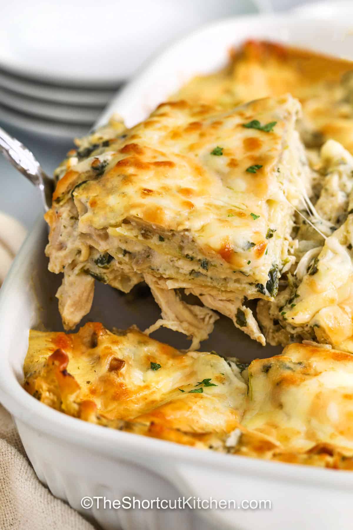 taking a slice of Chicken Alfredo Lasagna Recipe out of the casserole dish