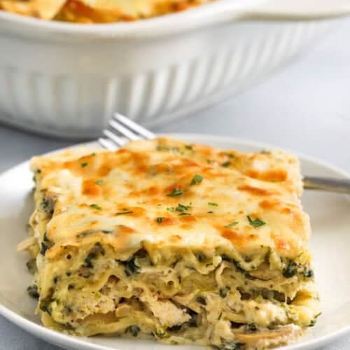 slice of Chicken Alfredo Lasagna Recipe on a plate with casserole dish full in the back