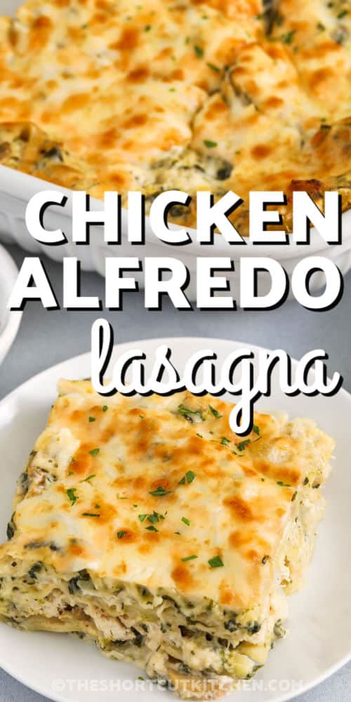 Chicken Alfredo Lasagna Recipe in the casserole dish and a slice on a plate with writing