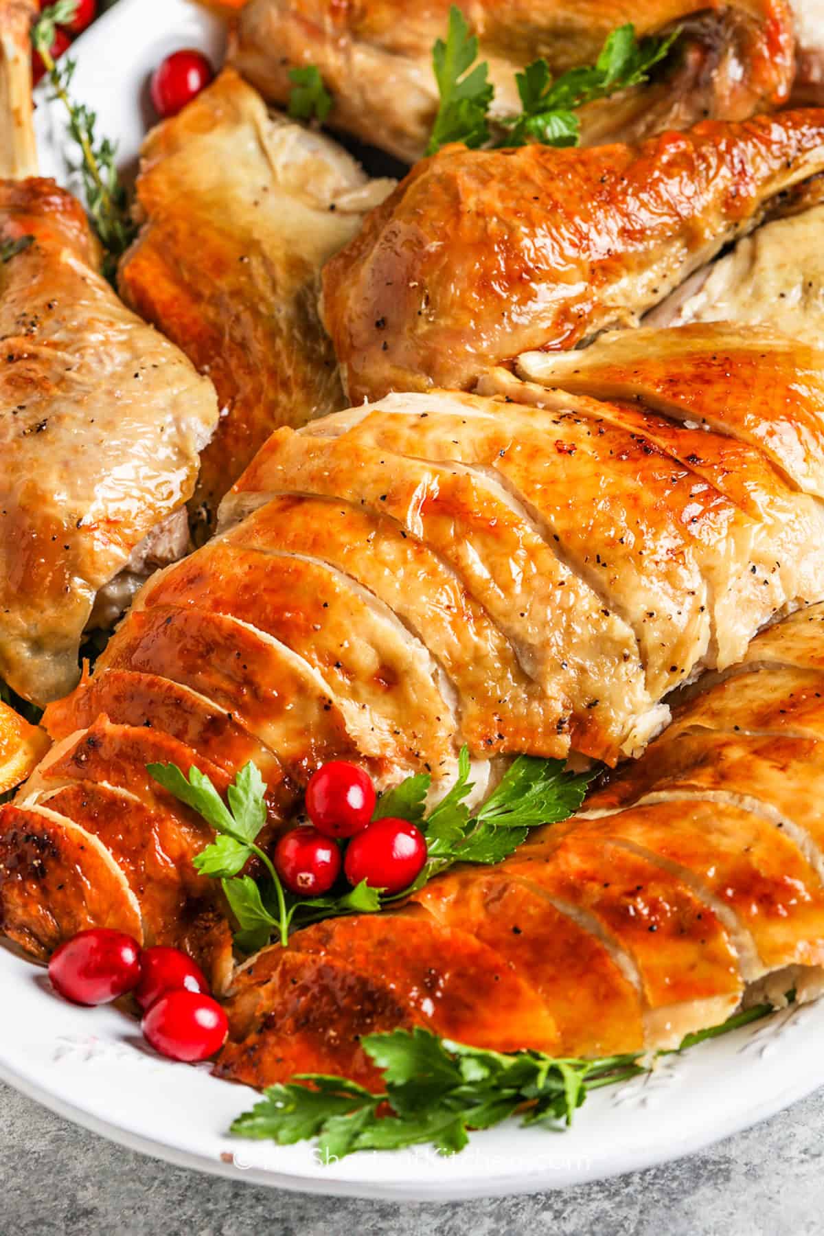 cropped roast turkey