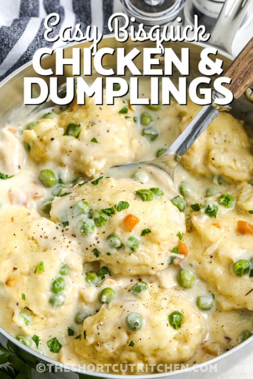 Make easy Bisquick chicken and dumplings with soft, fluffy dumplings and a creamy chicken base loaded with vegetables. This recipe uses Bisquick mix to create dumplings that cook directly in the pot, soaking up all the savory flavor. It’s a quick chicken dinner that delivers cozy comfort with minimal ingredients and almost no cleanup. #theshortcutkitchen Chicken and Dumplings being scooped out of a pot with a title