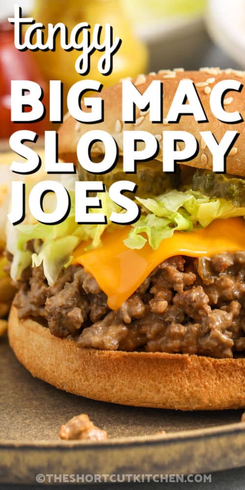 Assembled big mac sloppy joes and writing