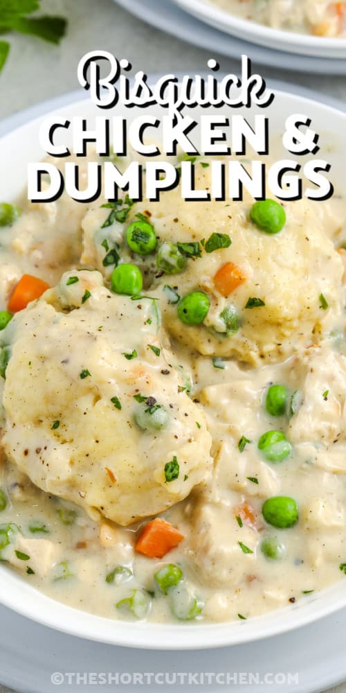 This Bisquick chicken and dumplings recipe makes a warm, creamy, and comforting dinner. Tender chicken, peas, and carrots are simmered in a rich broth. Fluffy Bisquick dumplings form right on top for the easiest one-pot meal. It’s the perfect shortcut for easy chicken and dumplings on busy nights when you want classic comfort without extra prep. #theshortcutkitchen A serving of Bisquick Chicken & Dumplings in a bowl with a title