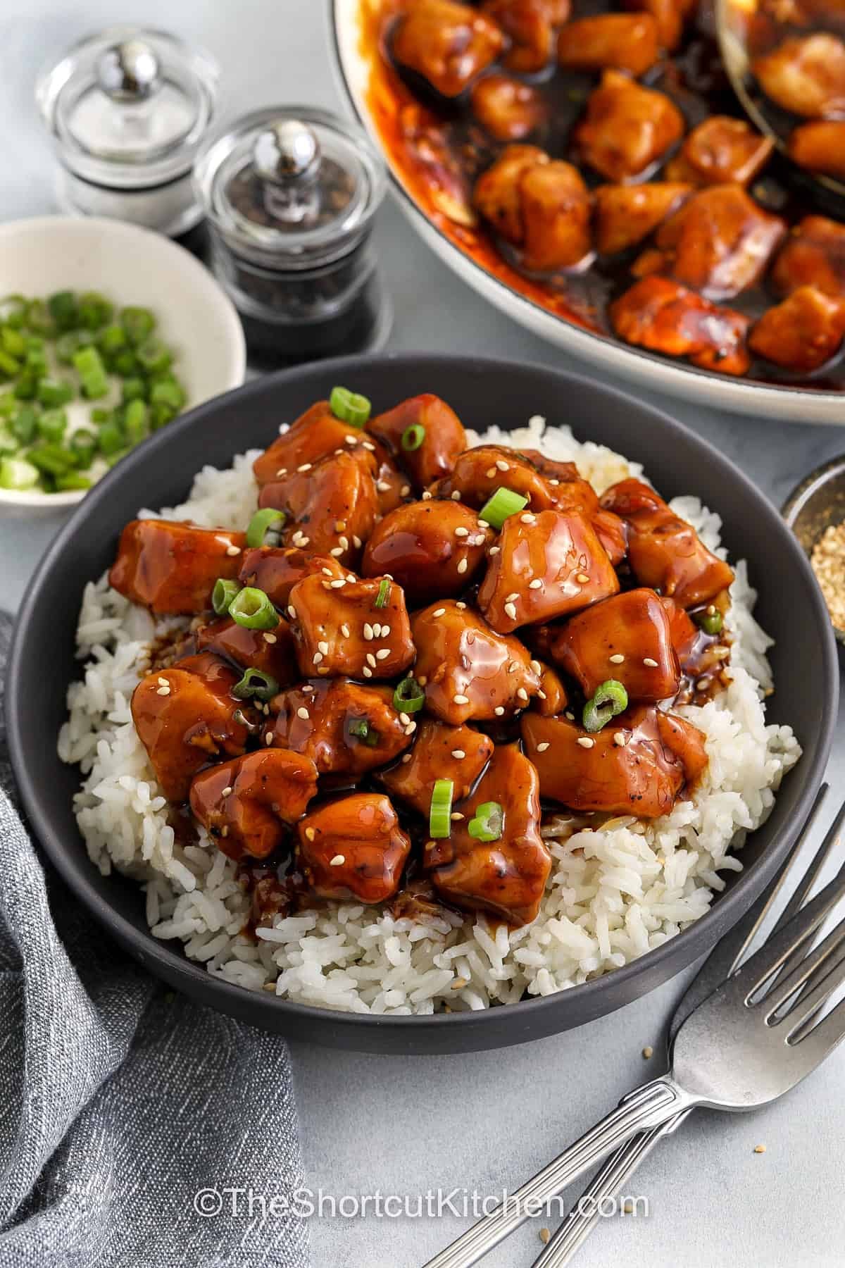 Honey teriyaki chicken turns simple ingredients into a flavorful skillet dinner. Tender chicken bites cook until golden, then simmer in a homemade honey teriyaki sauce made with bottled teriyaki, garlic powder, and rice vinegar. The sweet and savory glaze thickens and coats every piece of chicken with rich flavor. This easy chicken recipe pairs perfectly with rice, noodles, or vegetables for a hearty meal. #theshortcutkitchen Honey Teriyaki Chicken on rice
