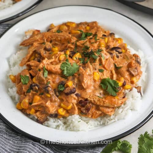 close up of Fiesta Chicken Recipe on a plate