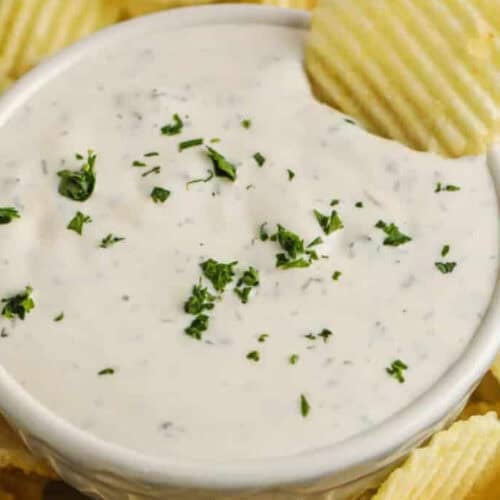 close up of Homemade Chip Dip in a bowl with a chip