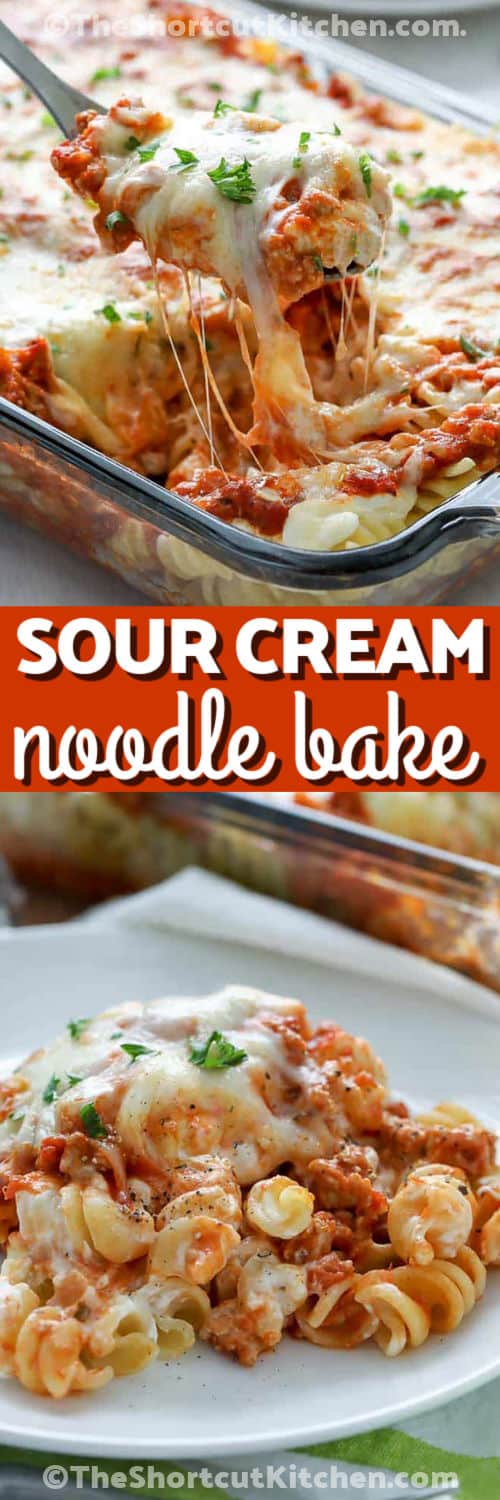 Creamy, cheesy, and packed with savory flavor, sour cream noodle bake is a simple comfort-food dinner made for busy evenings. Ground beef, rotini, pasta sauce, cream cheese, sour cream, Parmesan, and mozzarella bake together into hearty layers everyone can dig into. This easy pasta casserole needs just 15 minutes of prep and makes eight servings. Pin this ground beef noodle casserole for dinner inspiration. #theshortcutkitchen Sour Cream Noodle Bake in the dish and plated with a title