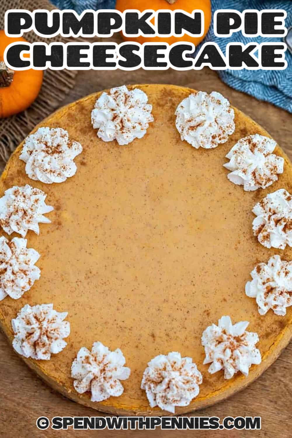 Every slice of this pumpkin pie cheesecake has a buttery graham cracker crust, silky cream cheese and pumpkin filling, and plenty of cozy pumpkin spice flavor. The baked cheesecake cools gradually and chills until beautifully sliceable, so it is a practical make-ahead dessert for fall entertaining. Add whipped cream, cinnamon, and caramel before serving. Save this pumpkin cheesecake recipe for the holidays. #theshortcutkitchen Pumpkin Pie Cheesecake with whipped cream and cinnamon with a title