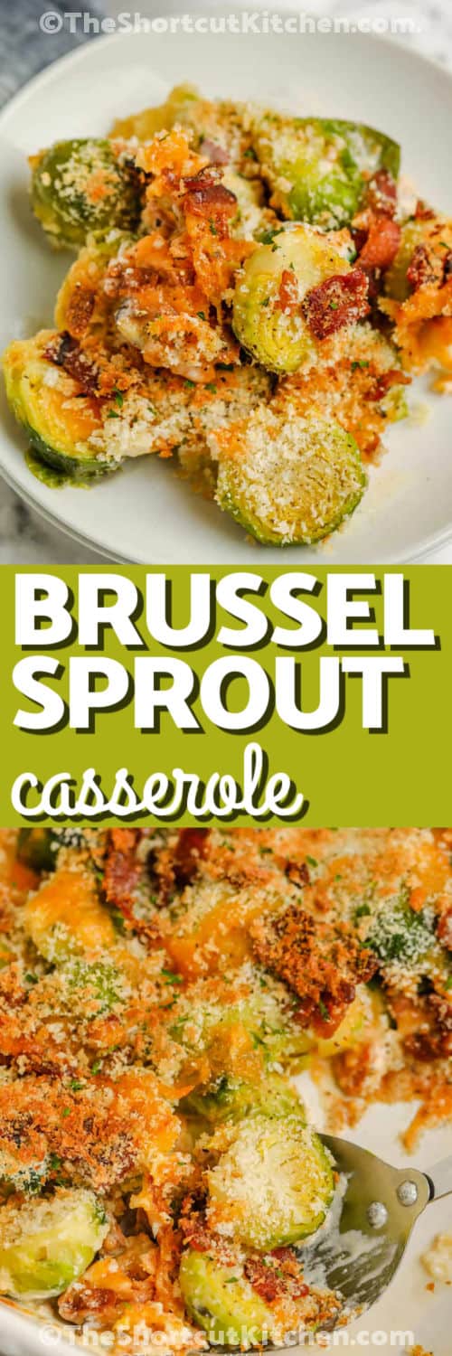 This Brussel sprout casserole with bacon has everything a great side dish needs, including tender vegetables, creamy cheddar, smoky bacon, and golden panko crunch. Fresh Brussels sprouts are precooked for faster baking, making this cheesy Brussels sprout casserole an easy 30-minute recipe. It is perfect beside chicken, pork, ham, or turkey. Pin this quick vegetable side for an easy dinner idea. #theshortcutkitchen Brussel Sprout Casserole in the dish and plated with a title